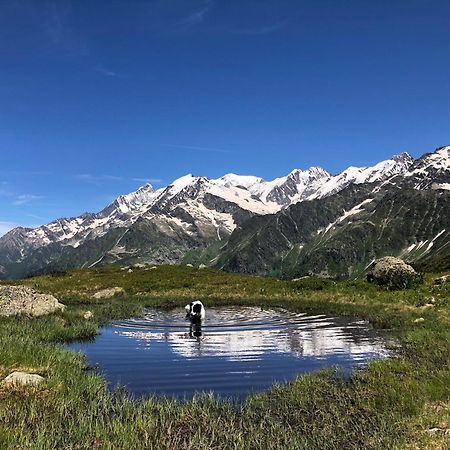 Chalet Riviere Du Bon Nant Location De 6 A 14 Personnes En Haute Savoie Saint-Gervais-les-Bains Buitenkant foto