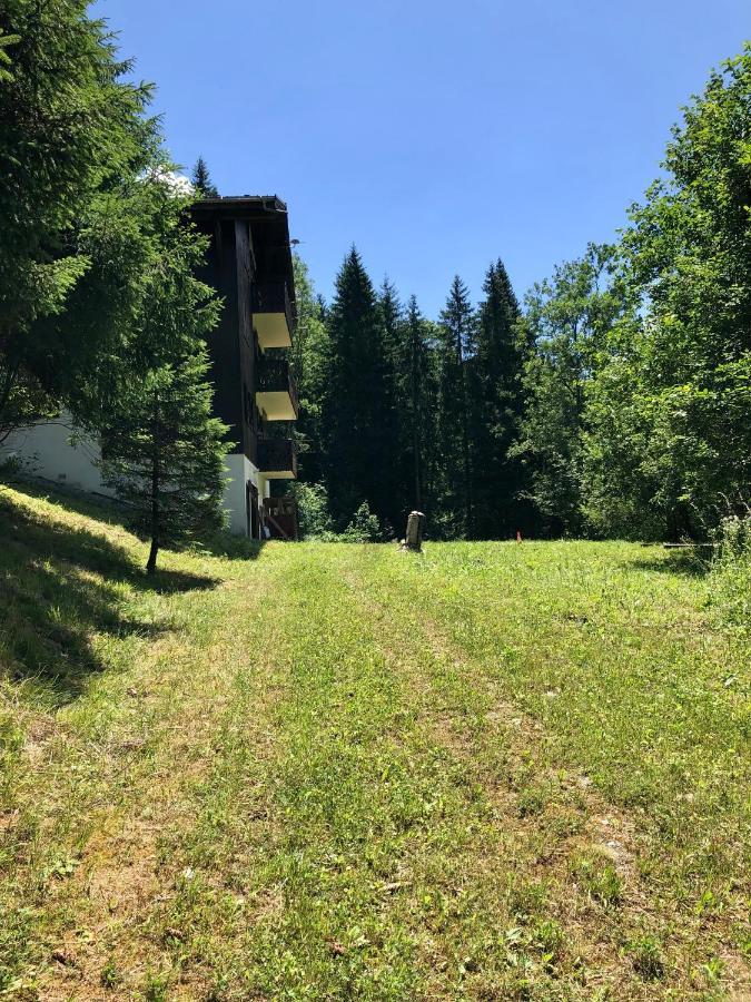 Chalet Riviere Du Bon Nant Location De 6 A 14 Personnes En Haute Savoie Appartement Saint-Gervais-les-Bains Buitenkant foto