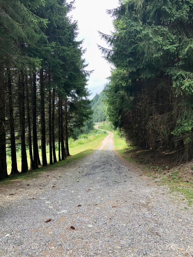 Chalet Riviere Du Bon Nant Location De 6 A 14 Personnes En Haute Savoie Saint-Gervais-les-Bains Buitenkant foto
