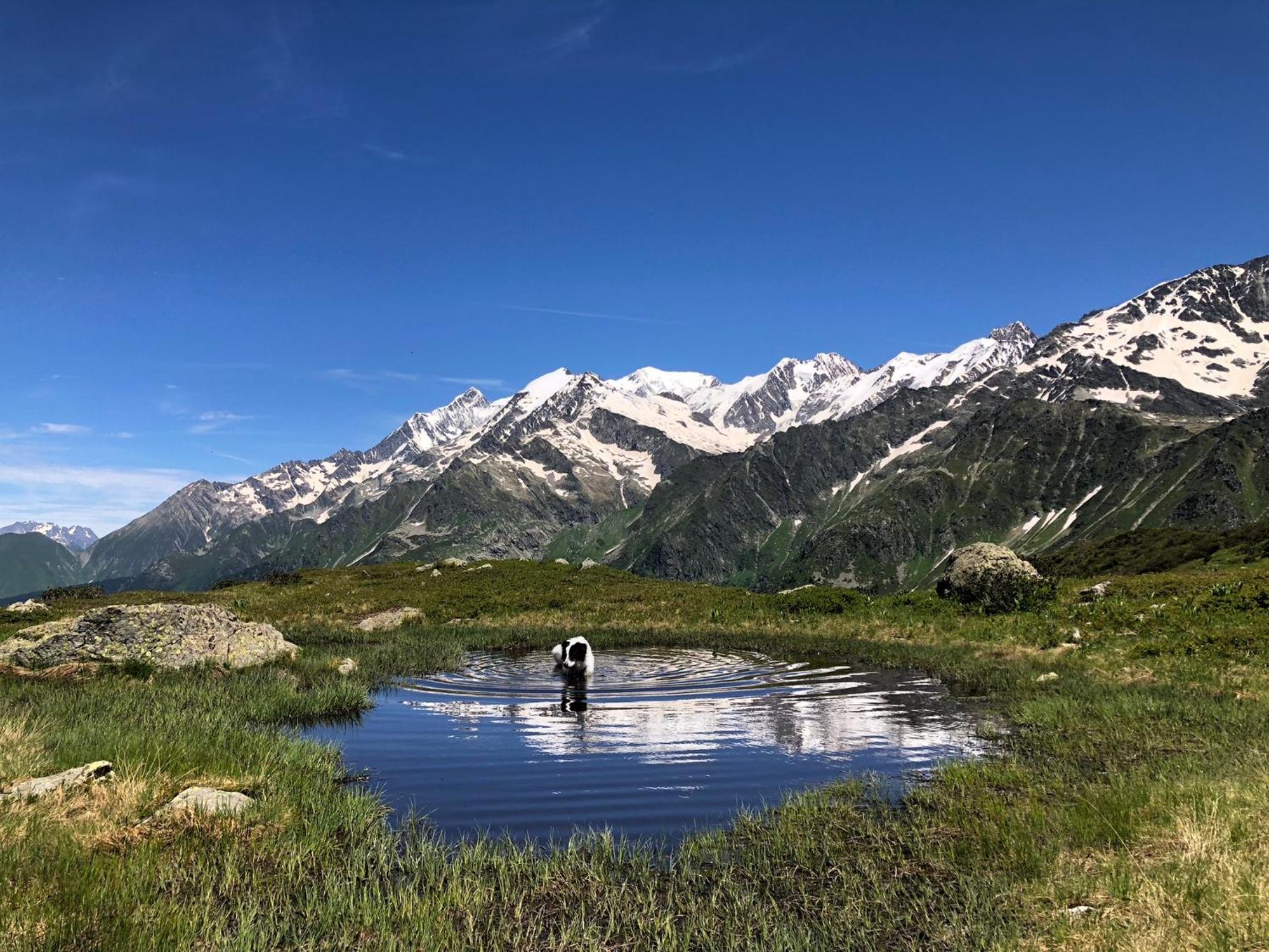 Chalet Riviere Du Bon Nant Location De 6 A 14 Personnes En Haute Savoie Saint-Gervais-les-Bains Buitenkant foto