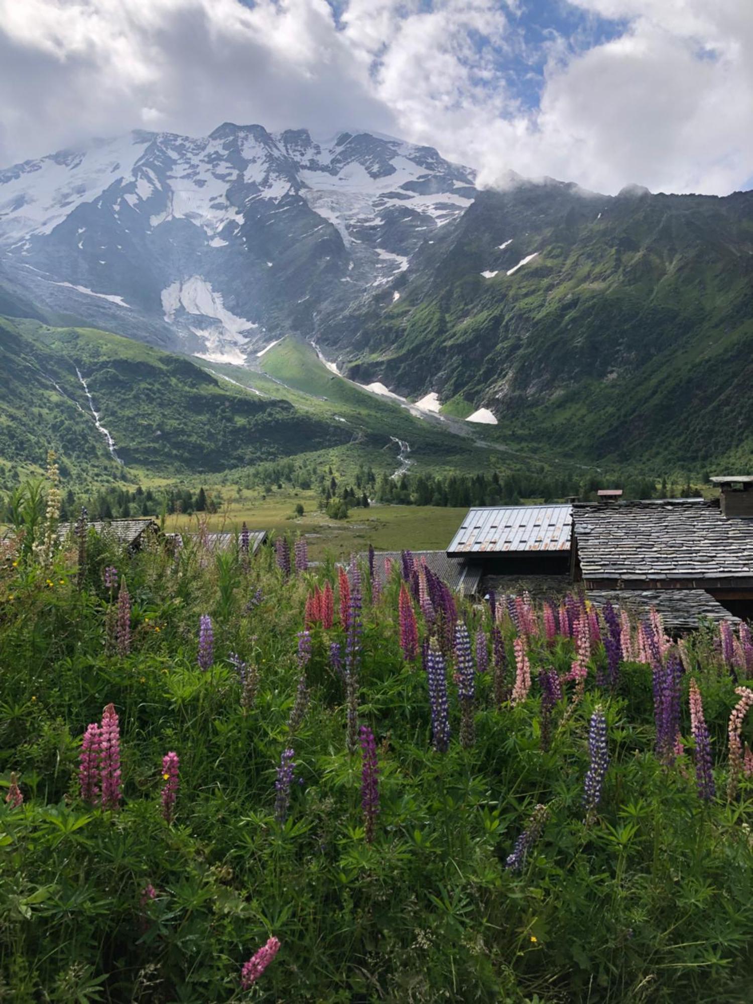 Chalet Riviere Du Bon Nant Location De 6 A 14 Personnes En Haute Savoie Saint-Gervais-les-Bains Buitenkant foto